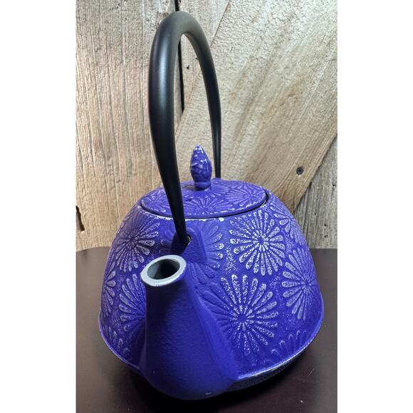 Spigo Nagano Cast Iron Enamel Teapot W/Removable Stainless-Steel Infuser - Picture 12 of 12